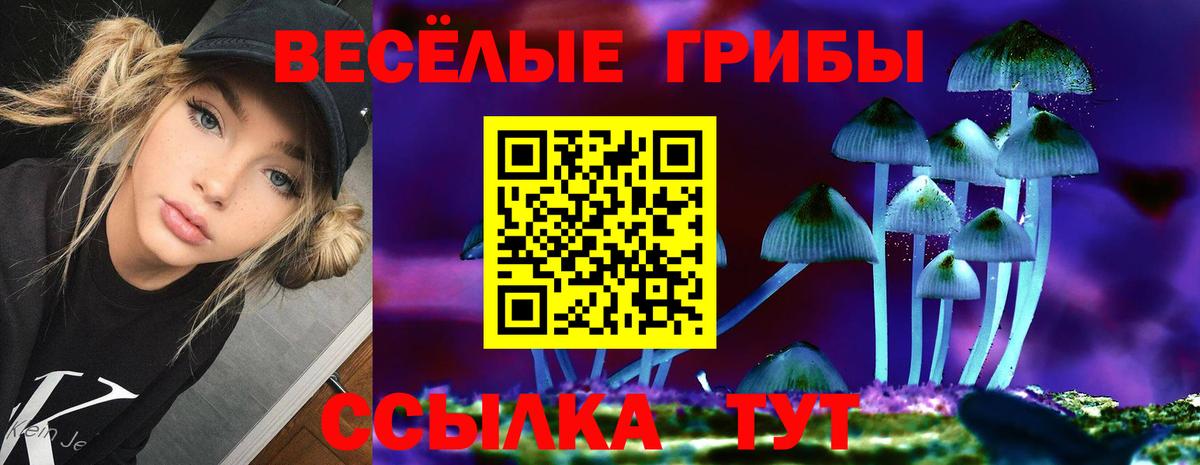 Псилоцибиновые грибы ЛСД  Вход с VPN  Псилоцибиновые грибы ЛСД  Тверь 